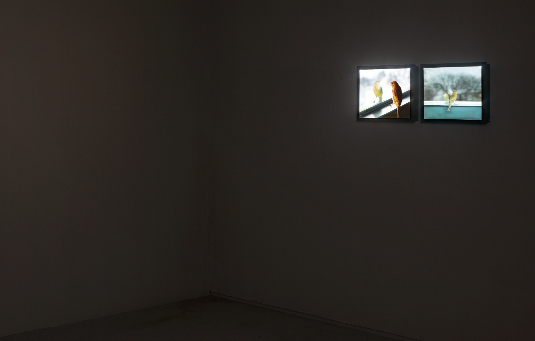 Tel Aviv Museum (Helena Rubinstein Pavilion), 2012 (Photo Elad Sarig)
